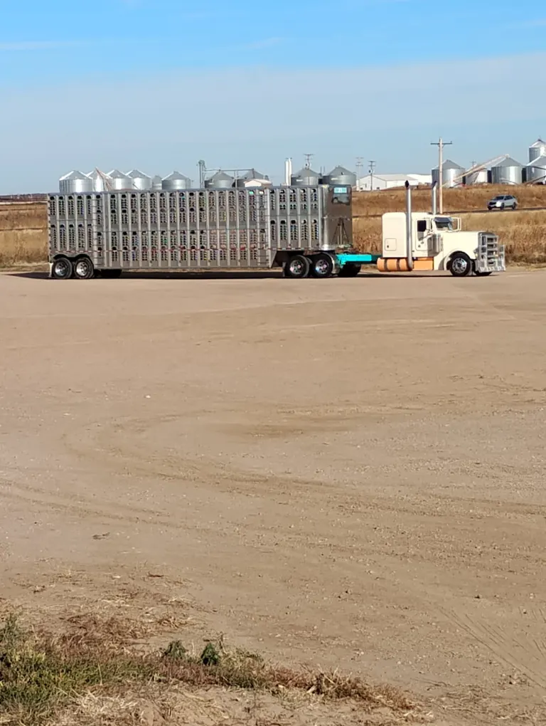 Agricultural equipment washing facility